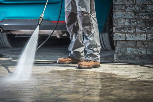 Best Driveway Cleaning and Restoration in Oglesby, IL